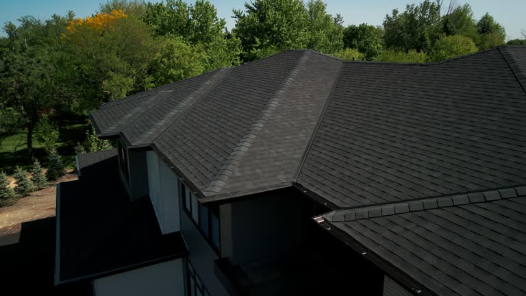 Best Roof Insulation Installation  in Cottage Grove, MN